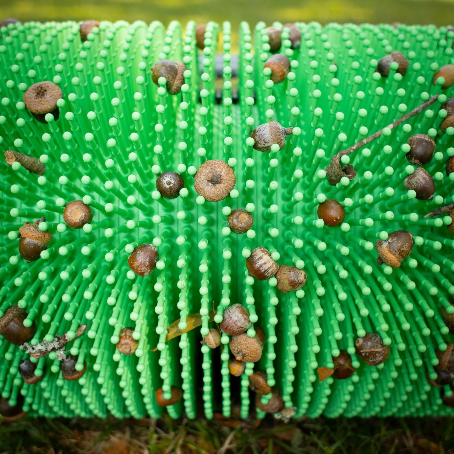 18" Eichelsammler schieben
