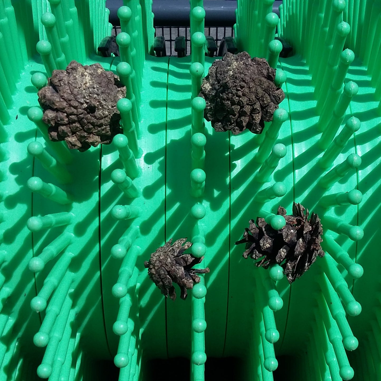 36″ Pull-Behind Pine Cone Collector