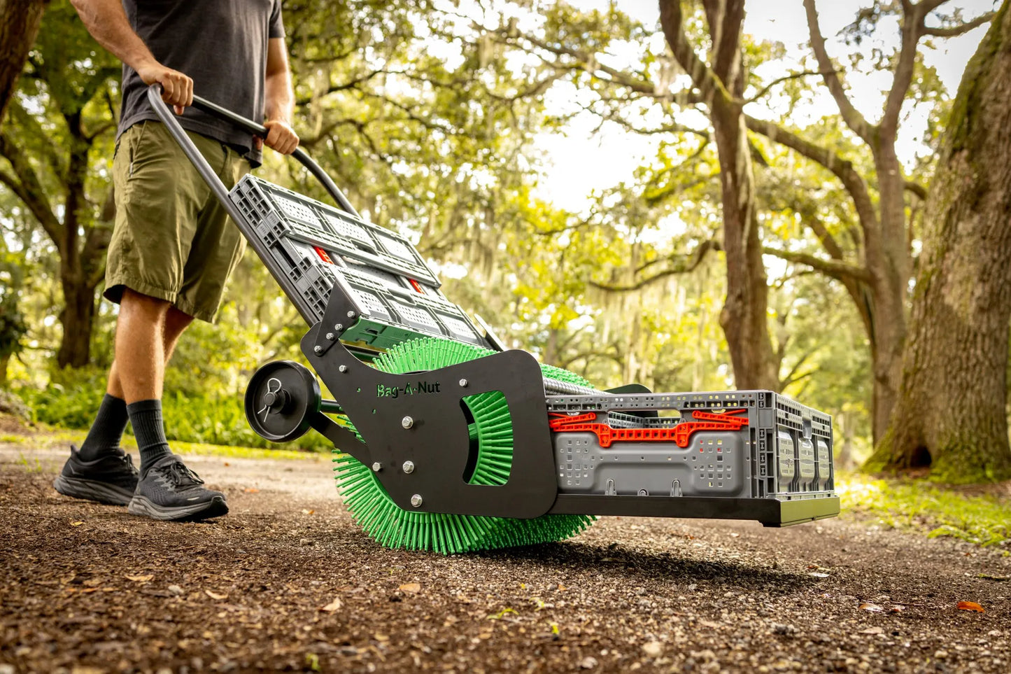 21″ PRO Push Almond Harvester