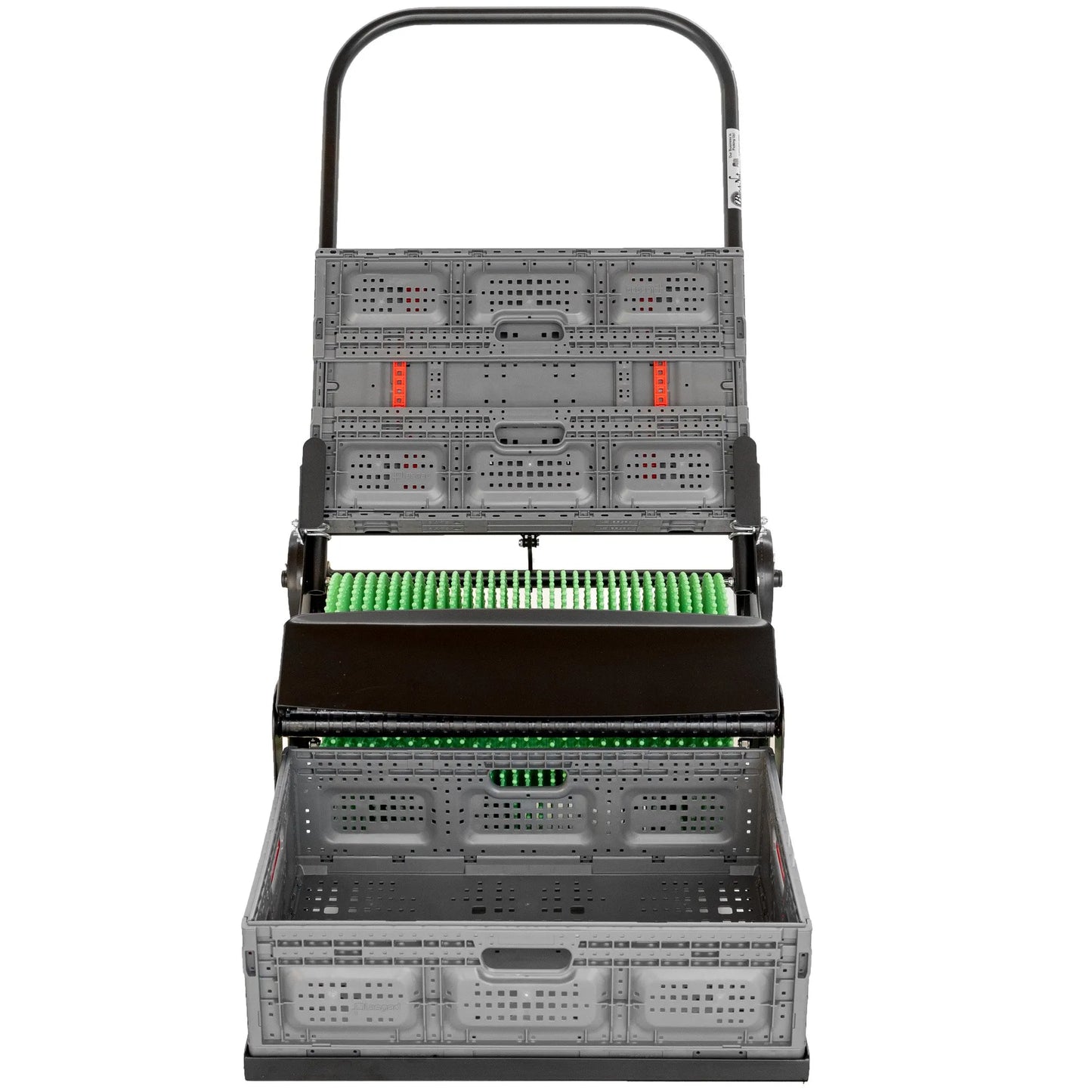 21" PRO Eichelsammler