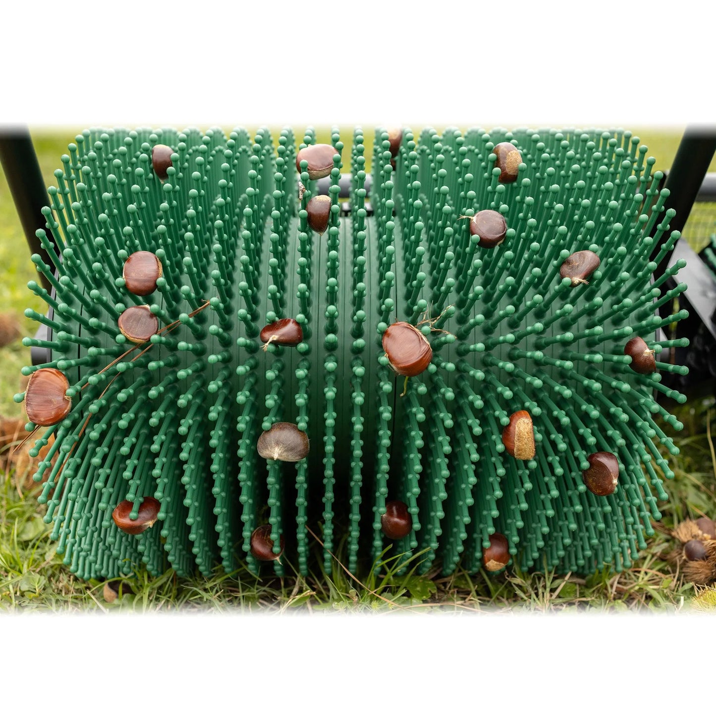12″ Push Chestnut Harvester