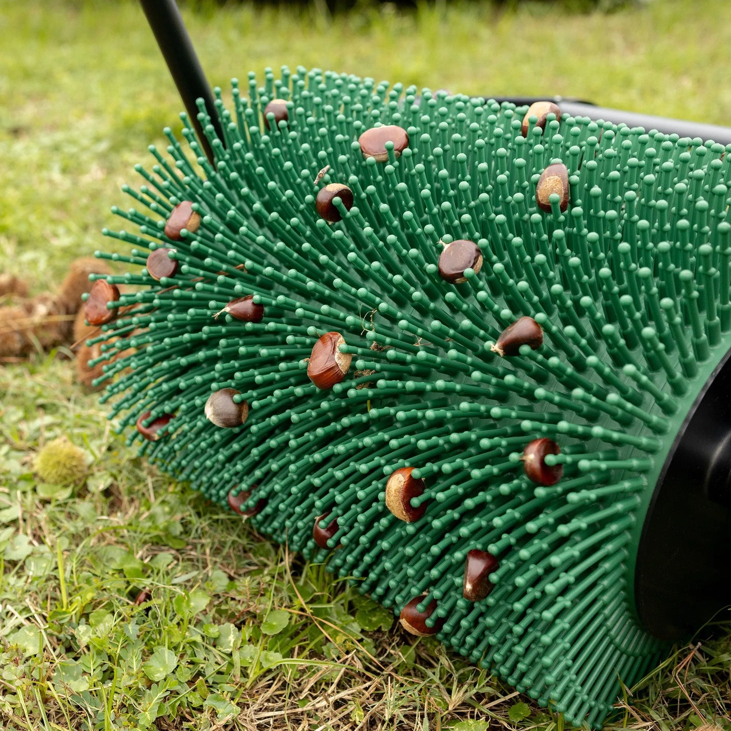 12″ Push Chestnut Harvester