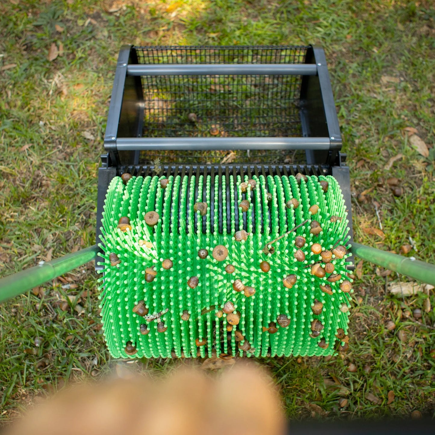 18" Eichelsammler schieben