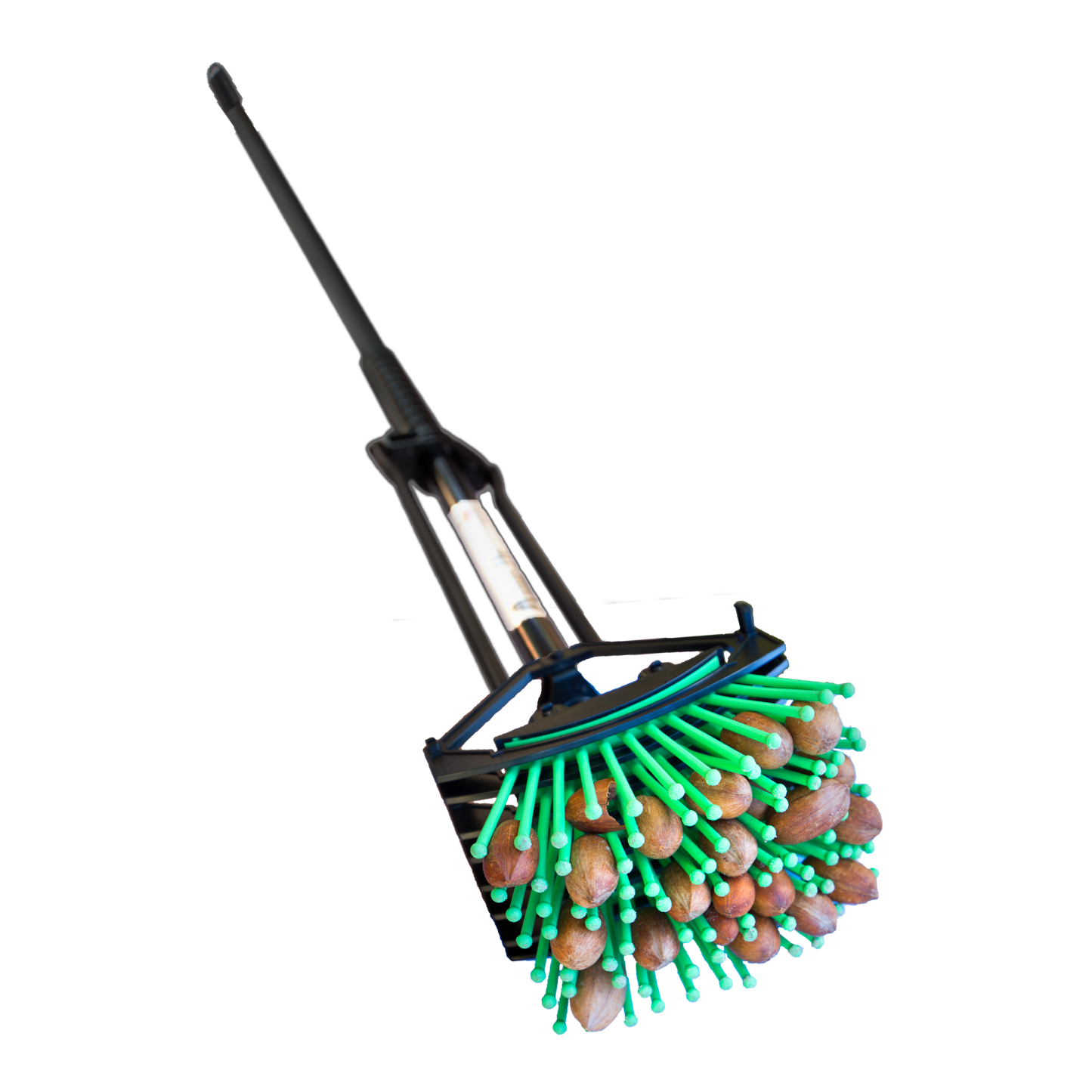 Ramasseuse de glands Stab-A-Nut
