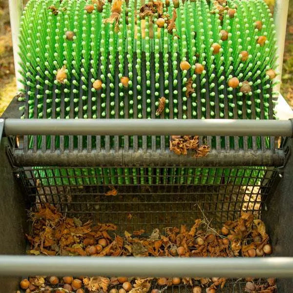 Récolteuse de noisettes 18"