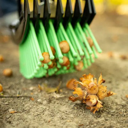 Stab-A-Nut Hazelnut / Filbert Harvester