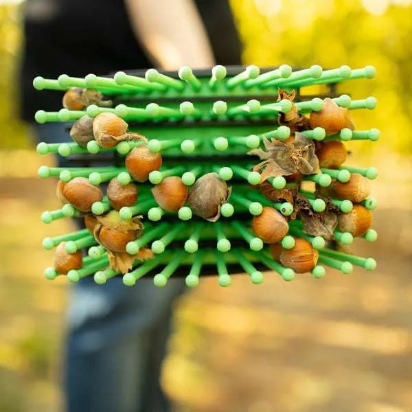 Stab-A-Nut Haselnuss-Sammler
