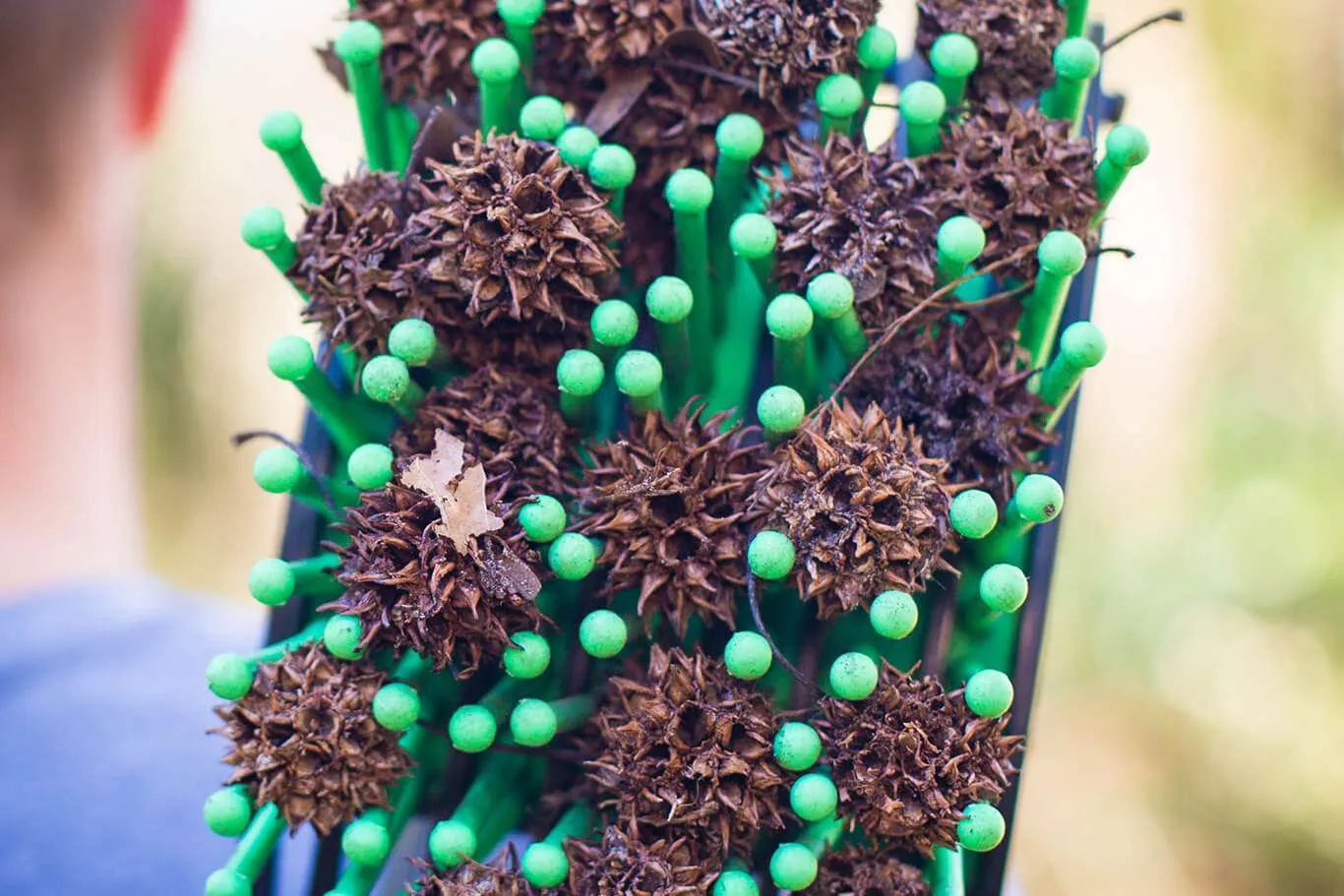 Ramasseuse de boules de liquidambar Stab-A-Nut