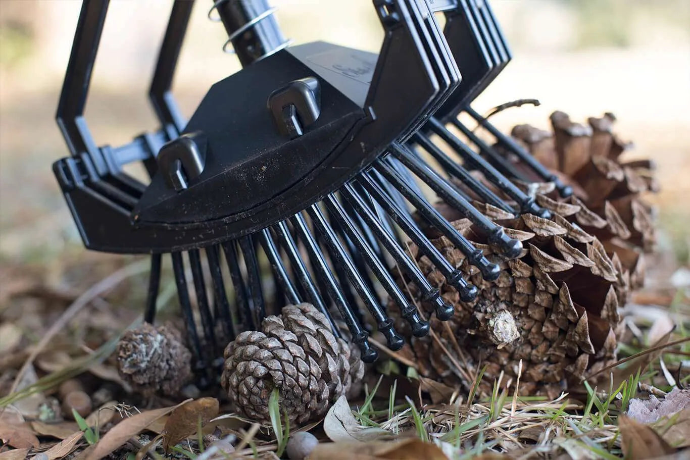 Stab-A-Nut Pine Cone Collector