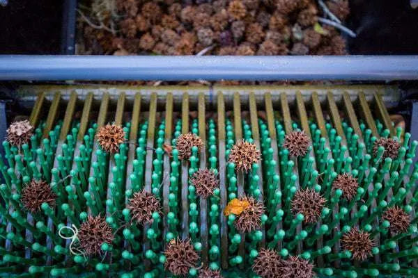Ramasseuse de boules de liquidambar 36" à pousser