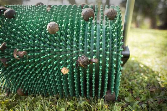 36″ Push Hickory Nut Picker-Upper