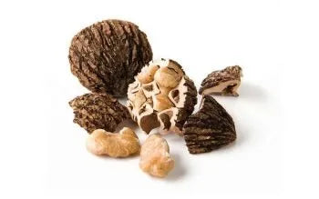 Black Walnuts