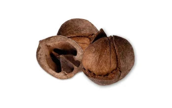 Hickory Nuts