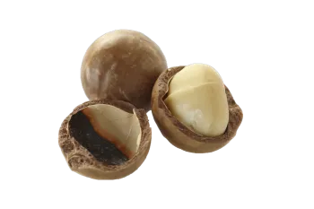 Macadamias