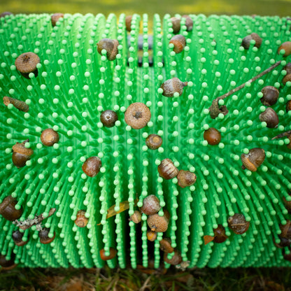 18" Eichelsammler schieben