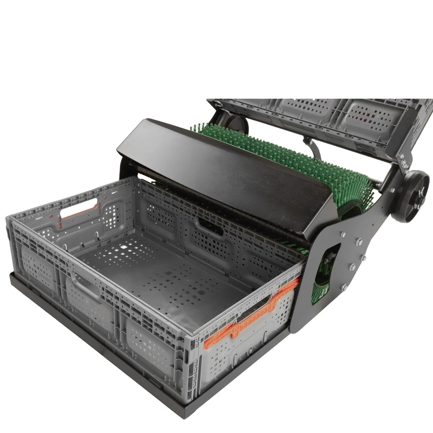 21" PRO Walnuss-Sammler schieben