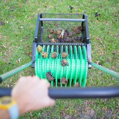 Récolteuse de noix noires 18"