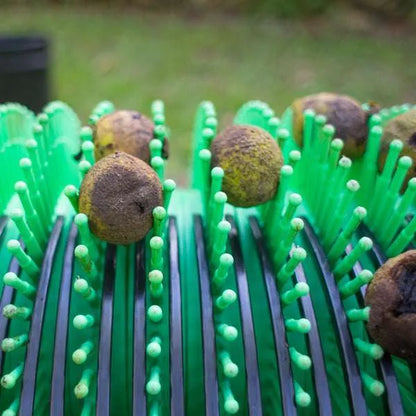 Récolteuse de noix noires 36" à pousser