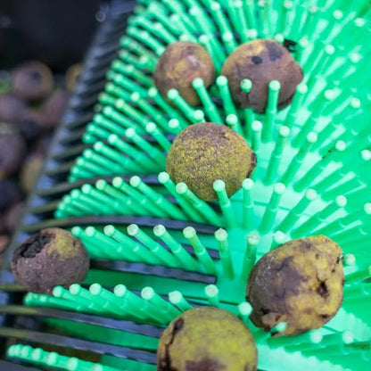 Récolteuse noix noires 36" à tirer