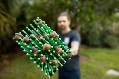 Ramasseuse de glands Stab-A-Nut