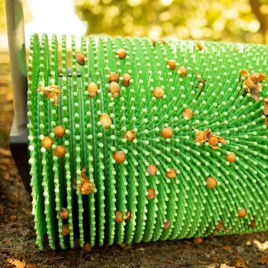 36″ Push Hazelnut / Filbert Harvester