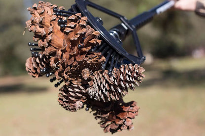 Stab-A-Nut Pine Cone Collector