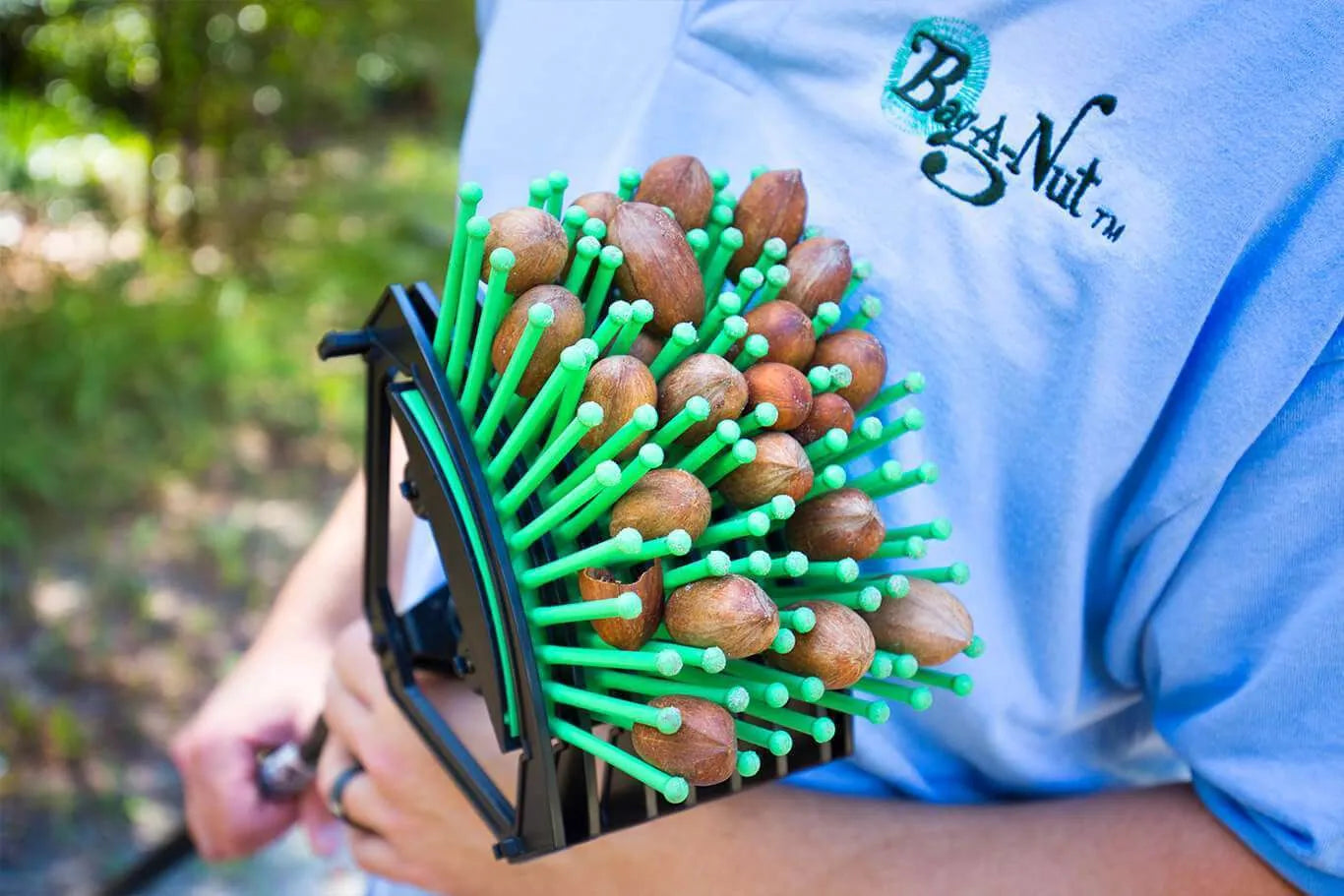 Stab-A-Nut Pekannuss-Sammler