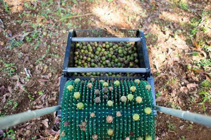 Récolteuse de noix de macadamia 18"