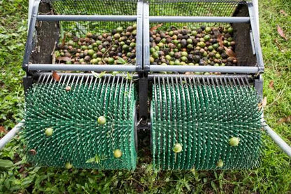 Récolteuse de noix de macadamia 36" à pousser