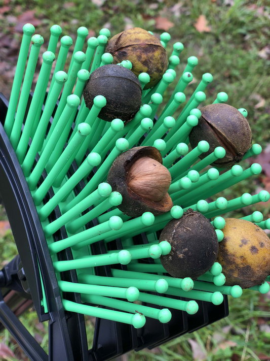 Stab-A-Nut Hickory Nut Picker-Upper