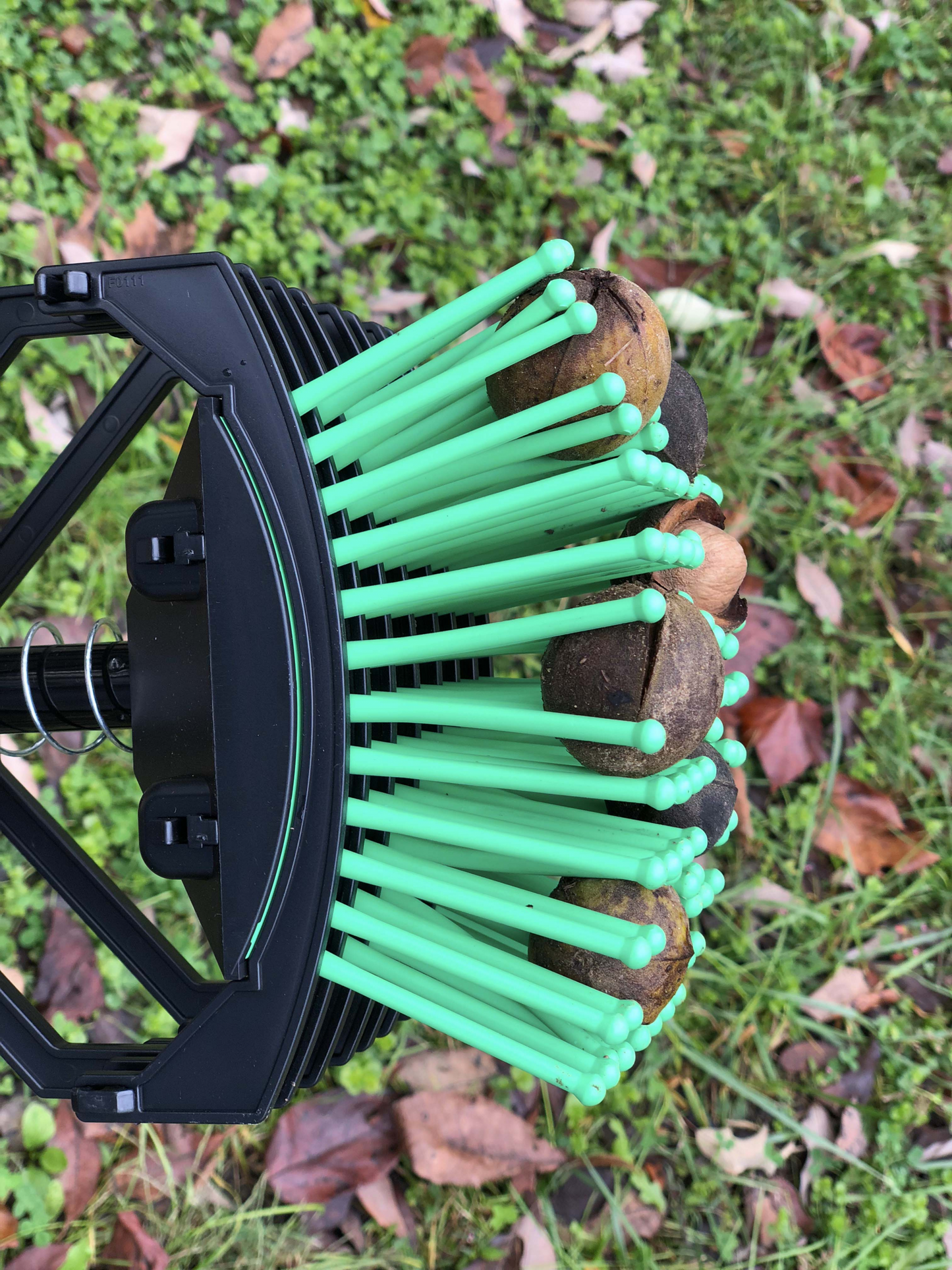 Récolteuse de noix de caryer Stab-A-Nut